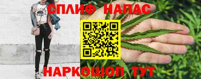 шишки Тверь