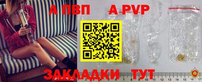 шишки Тверь