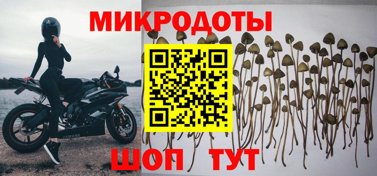 Галлюциногенные грибы прущие грибы Новоалтайск