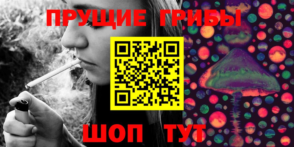 Новоалтайск  Галлюциногенные грибы MAGIC MUSHROOMS  Вход с VPN  Псилоцибиновые грибы Psilocybe 
